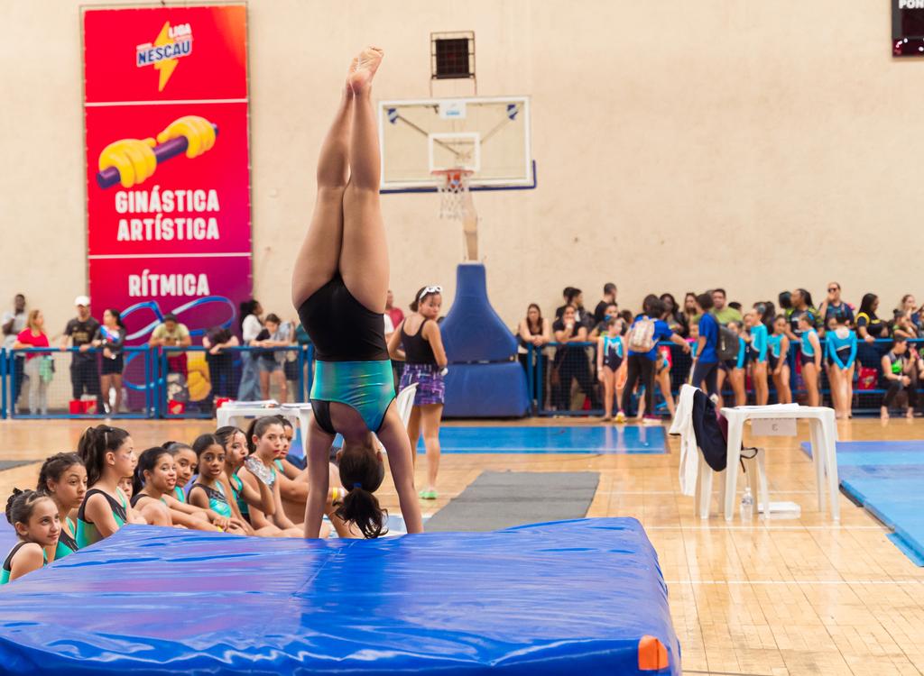 Ginástica