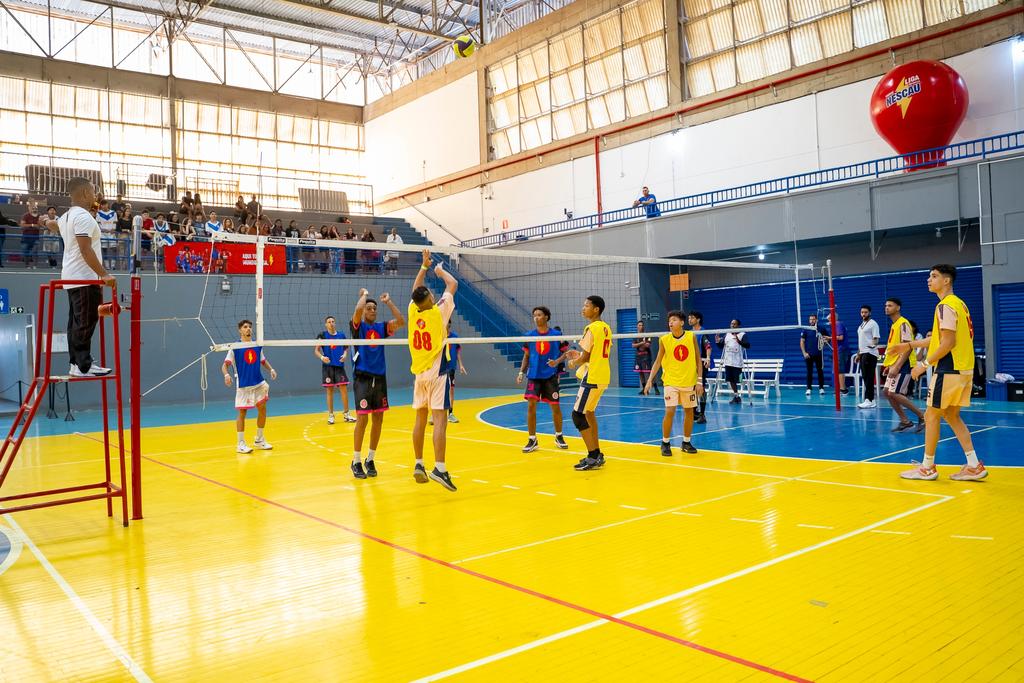 Vôlei