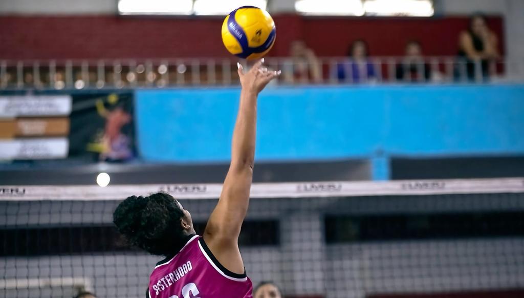 Vôlei