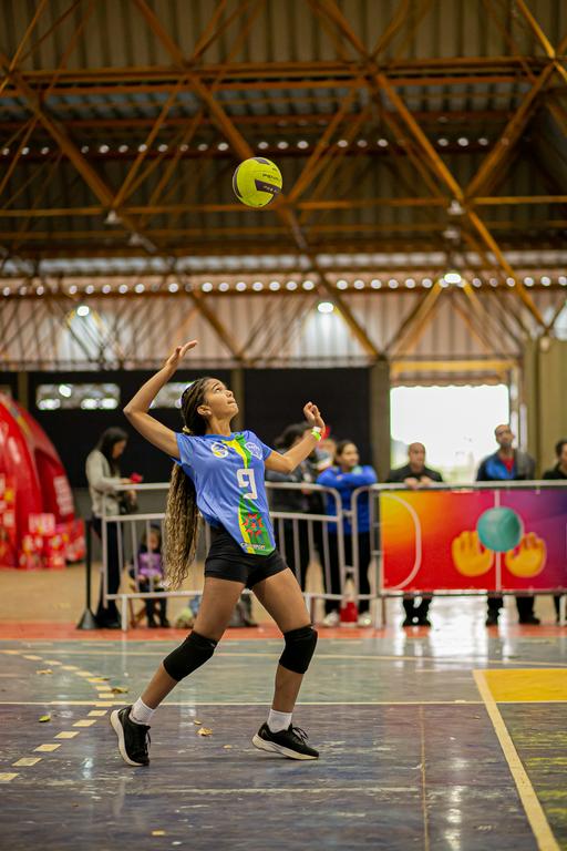 Vôlei